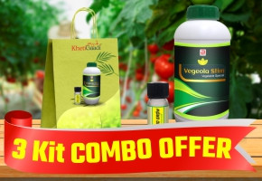 Vegetable Special Kit Combo